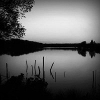 /album/aslukoncell/photolia-b01-jpg/